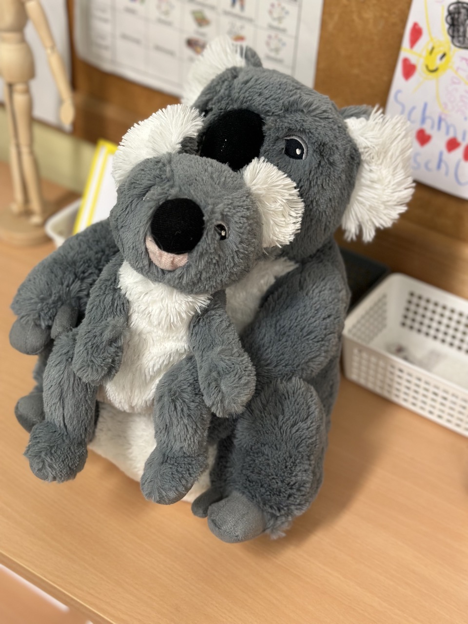 Koalaklasse