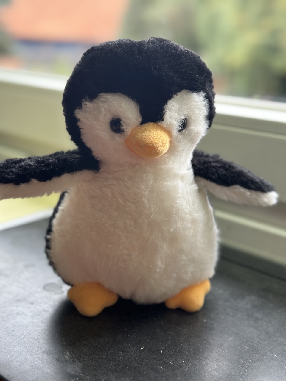 Pinguinklasse